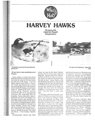 Harvey Hawks - Badlands Skateboards at Sk8Kings.com